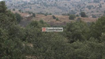 Finca Rústica en venta en Colmenar Viejo de 136674 m2 photo 0