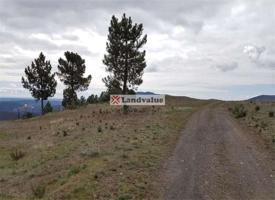Finca Rústica en venta en Robledillo de la Jara de 785000 m2 photo 0