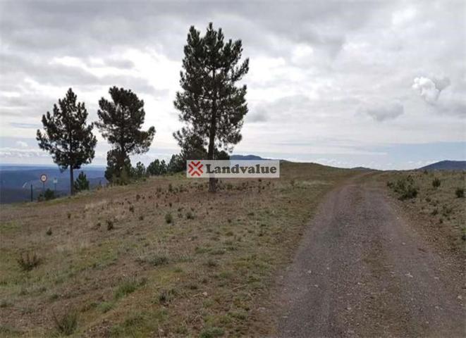 Finca Rústica en venta en Robledillo de la Jara de 785000 m2 photo 0