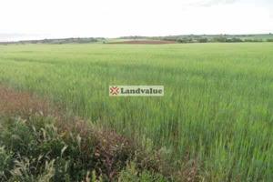 Finca Rústica en venta en Pozuelo del Rey de 83162 m2 photo 0