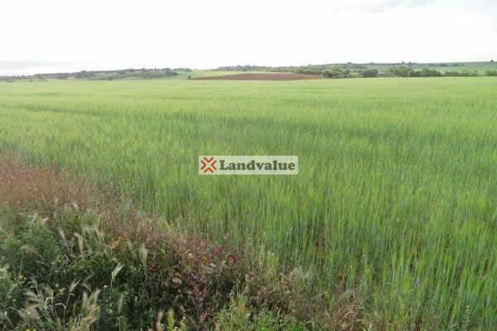 Finca Rústica en venta en Pozuelo del Rey de 83162 m2 photo 0