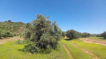 LUGAR PARAJE PILARA, SORIHUELA DEL GUADALIMAR photo 0