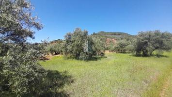 LUGAR PARAJE PILARA, SORIHUELA DEL GUADALIMAR photo 0