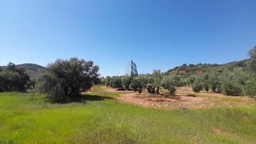 LUGAR PARAJE PILARA, SORIHUELA DEL GUADALIMAR photo 0