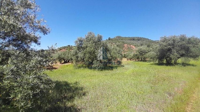 LUGAR PARAJE PILARA, SORIHUELA DEL GUADALIMAR photo 0
