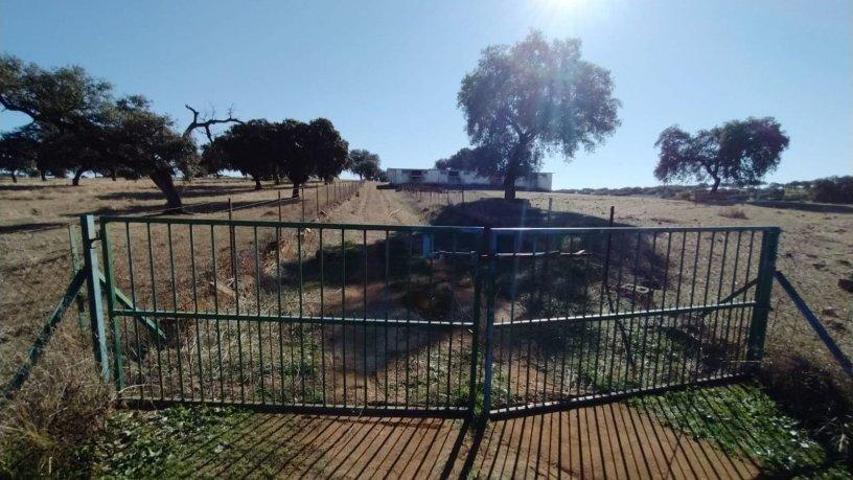 Finca rustica en Fuente Obejuna photo 0