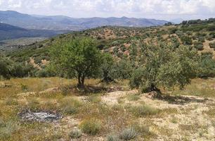 LUGAR AL SITIO PORTILLO DEL ESTEPAR, Castillo de Locubín, Jaén photo 0