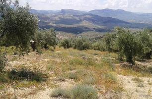 LUGAR AL SITIO PORTILLO DEL ESTEPAR, Castillo de Locubín, Jaén photo 0
