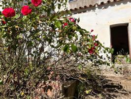 CASA EN VENTA DE VILLAVICIOSA DE CÓRDOBA photo 0