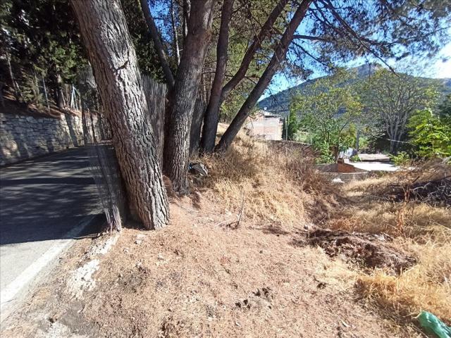 TERRENO EN JAMILENA photo 0