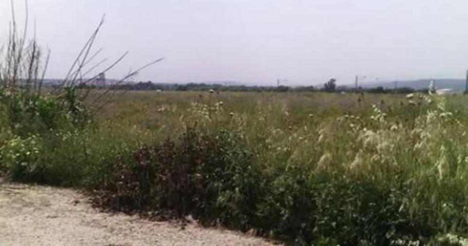 Terreno en El Carpio photo 0