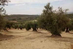 Terreno en Lopera photo 0