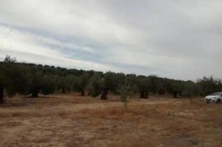 Terreno en Lopera photo 0