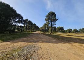 Suelo urbanizable residencial en CERRO MURIANO photo 0