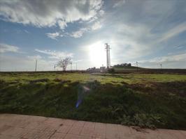 Suelto urbano Calle Infanta Carlota photo 0
