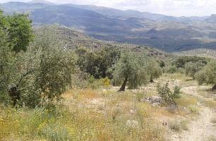 Terreno en venta en Castillo de Locubín de 2675 m2 photo 0