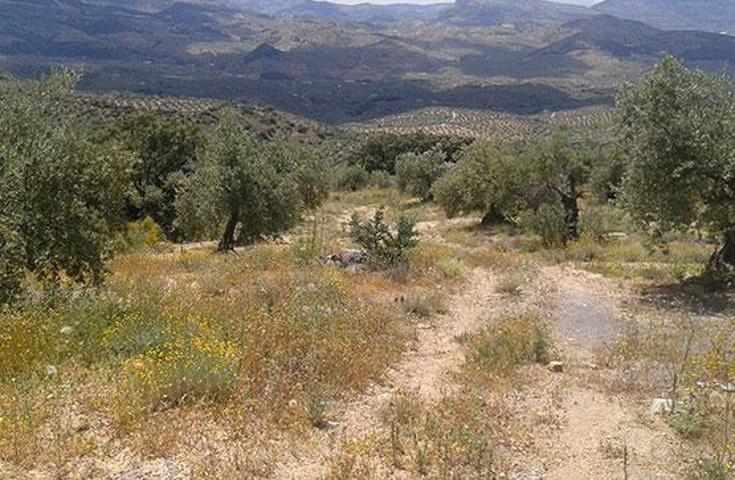 Terreno en venta en Castillo de Locubín de 2675 m2 photo 0