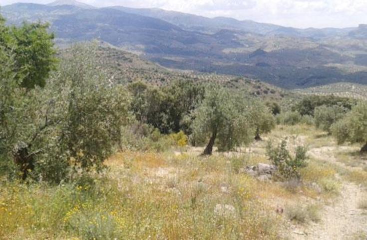 Terreno en venta en Castillo de Locubín de 2675 m2 photo 0
