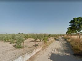 Finca Rústica en Pajaro Verde (BADOLATOSA) photo 0