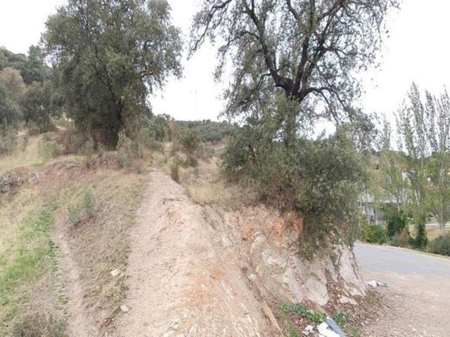 Solar en Obejo photo 0