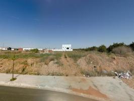 Polígono Industrial Matachel – Palma del Río, Córdoba photo 0