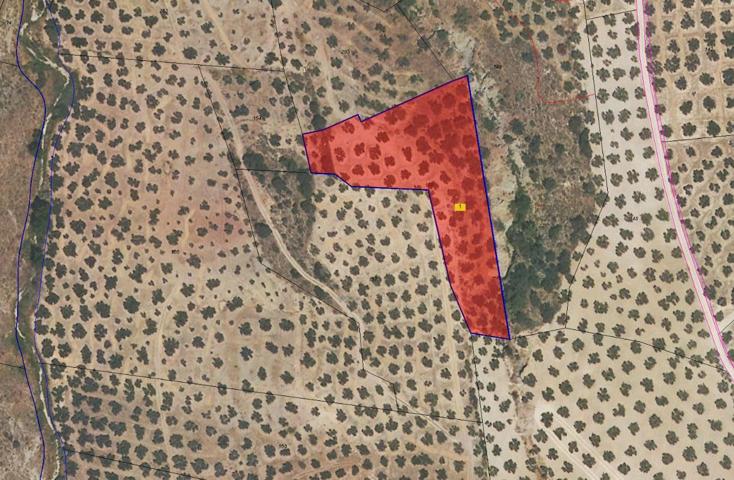 SUELO NO URBANIZABLE EN ALMENIDILLA photo 0