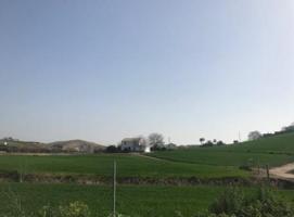 Suelo en Guadalcazar photo 0