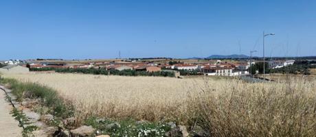 Suelo urbano en venta en Dos Torres (Córdoba). photo 0