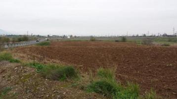 Suelo urbanizable en Villarrubia, Córdoba photo 0