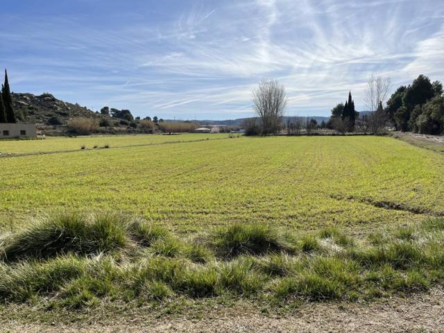 Venta de finca de regadio con nave de 40 metros. - ideal para masico photo 0