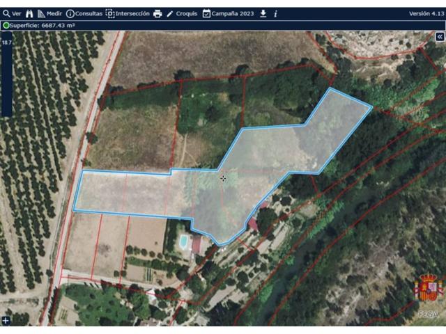 SE VENDE FINCA DE REGADIO DE 6687M2 IDEAL PARA MASICO photo 0