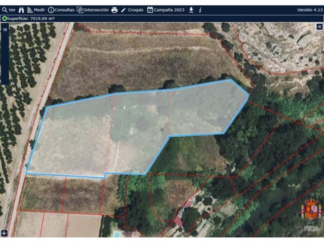 SE VENDE FINCA DE REGADIO DE 7019 M2 IDEAL PARA MASICO photo 0