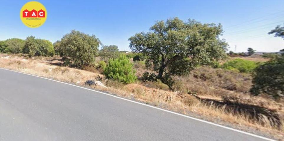 Finca en Lepe photo 0