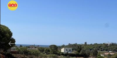 Finca con Casa en Lepe photo 0