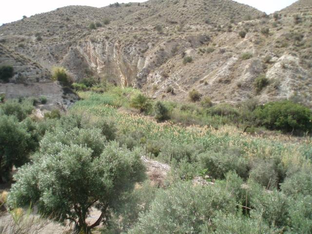 Venta de finca rústica en Alicante - Alacant photo 0