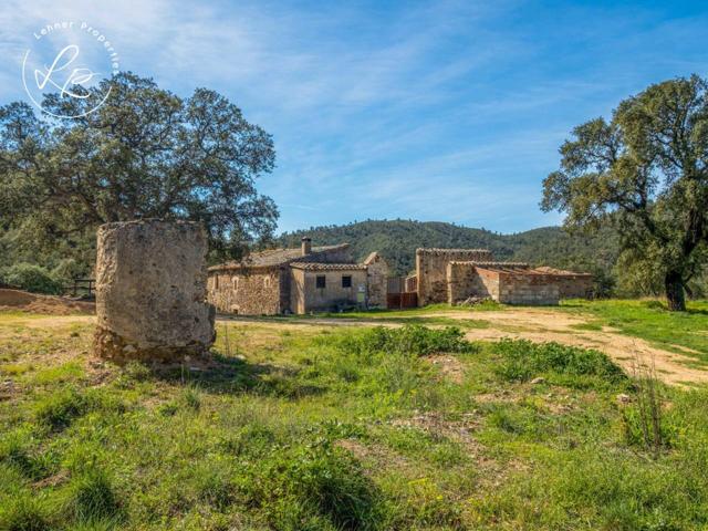 Masia del siglo XIX para rehabilitar en Darnius. photo 0