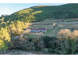 Parcela rústica en Biure – ¡Un refugio en plena naturaleza! photo 0