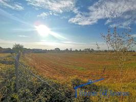 Terreno en venta en huesca de 10137 m2 photo 0