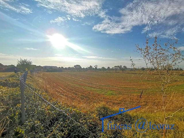Terreno en venta en huesca de 10137 m2 photo 0