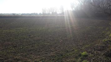 Terreno en venta en Chimillas de 7541 m2 photo 0