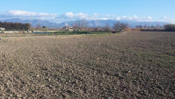 Terreno en venta en Chimillas de 7541 m2 photo 0