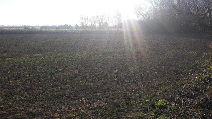 Terreno en venta en Chimillas de 7541 m2 photo 0