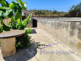 FINCA DE RECREO photo 0