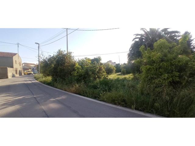 TERRENO EN VENTA EN AVENIDA DE LA ÑORA - LA ALBATALÍA photo 0