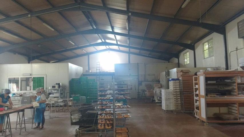 Nave industrial dedicada a fábrica de Panadería en Lorca photo 0