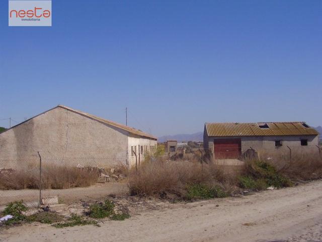 Casa con terreno en Lorca, camino Vera, Edificaciones 768 m2, Parcela 15.987 m2 photo 0