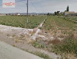VENTA PARCELA EN TERCIA photo 0