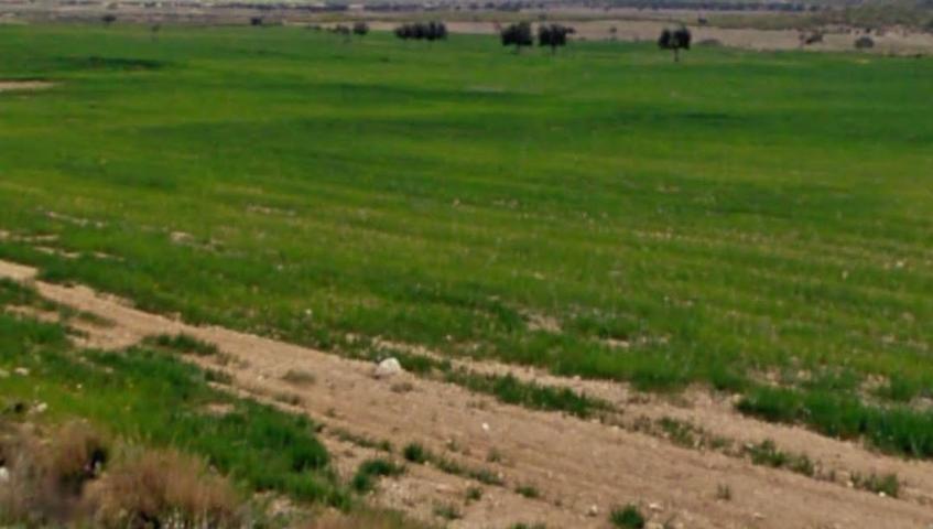 VENTA-ALQUILER FINCA EN LA PACA photo 0