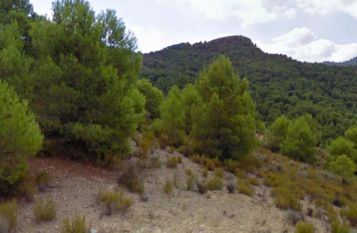 VENTA FINCA EN EL PUNTARRON photo 0