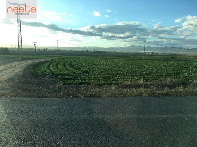 VENTA DE 2 PARCELAS EN CTRA. ALTOBORDO photo 0
